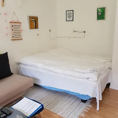 Apartment Skatholm Studio